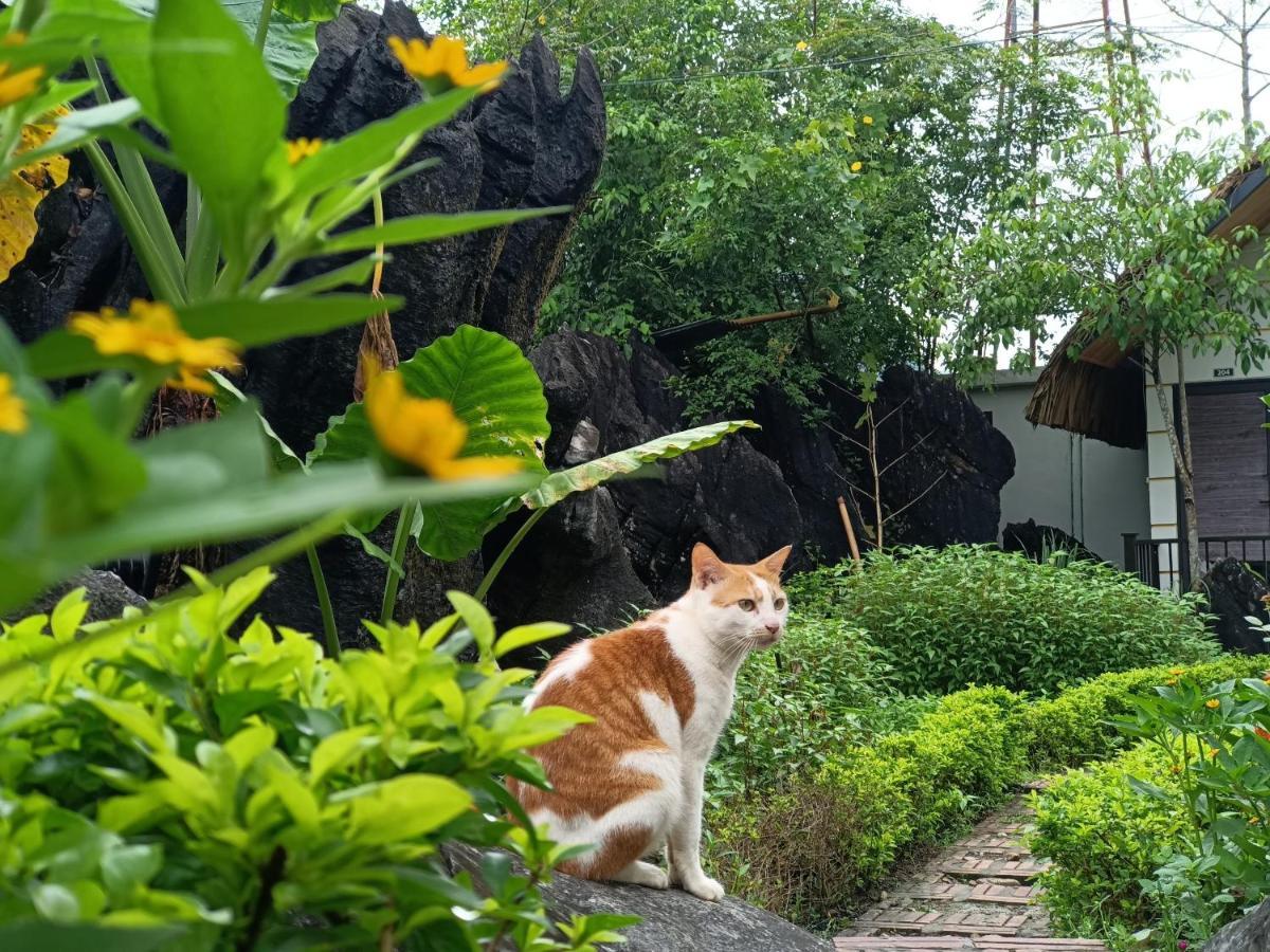 Hotel Wings Ha Giang Loop Bungalow Exterior foto